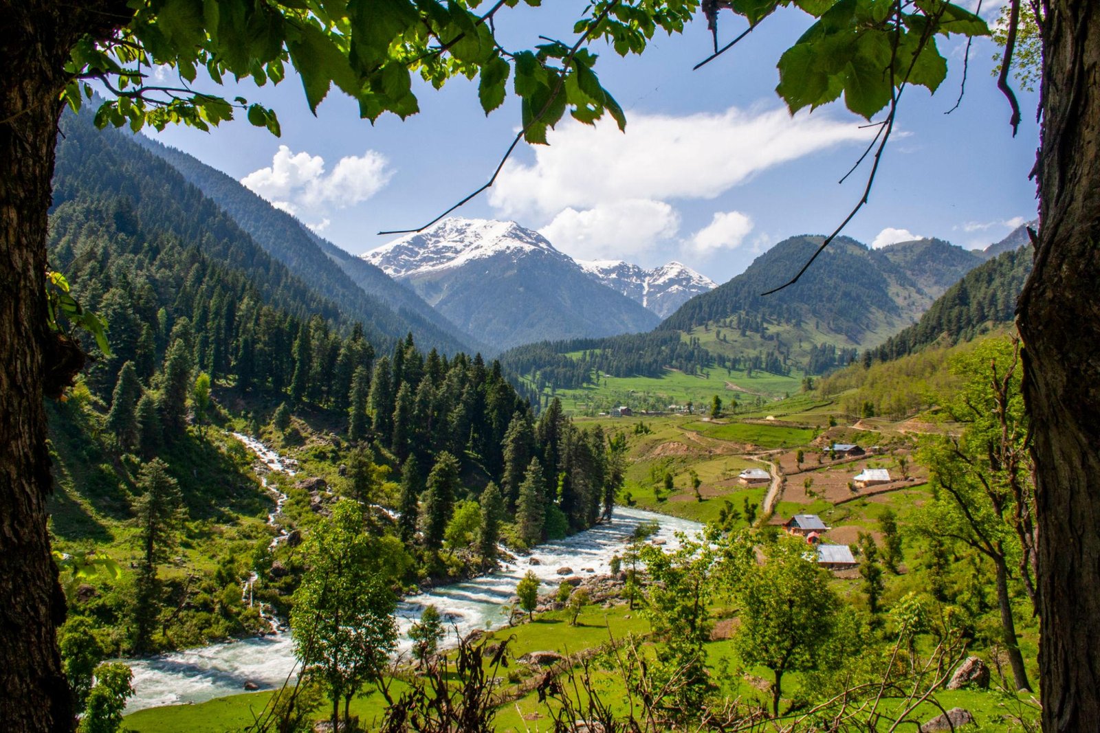 Kashmir Tour By Royal Holidays